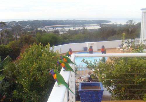 Kingfisher Motel (Adults Only) Merimbula Exteriör bild
